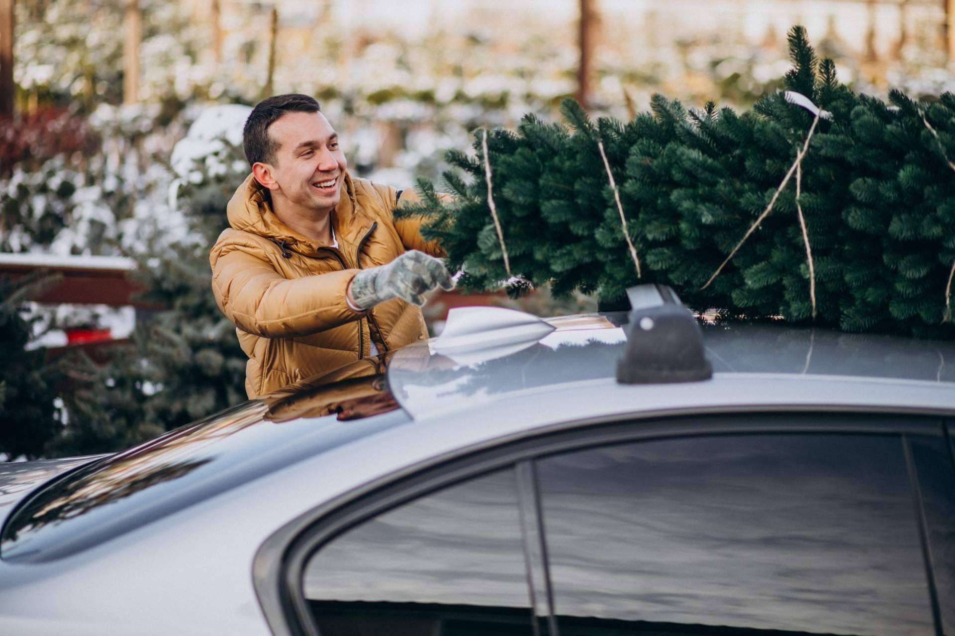 Seguridad vial en Navidad, cómo reducir los riesgos en carretera durante las fiestas
