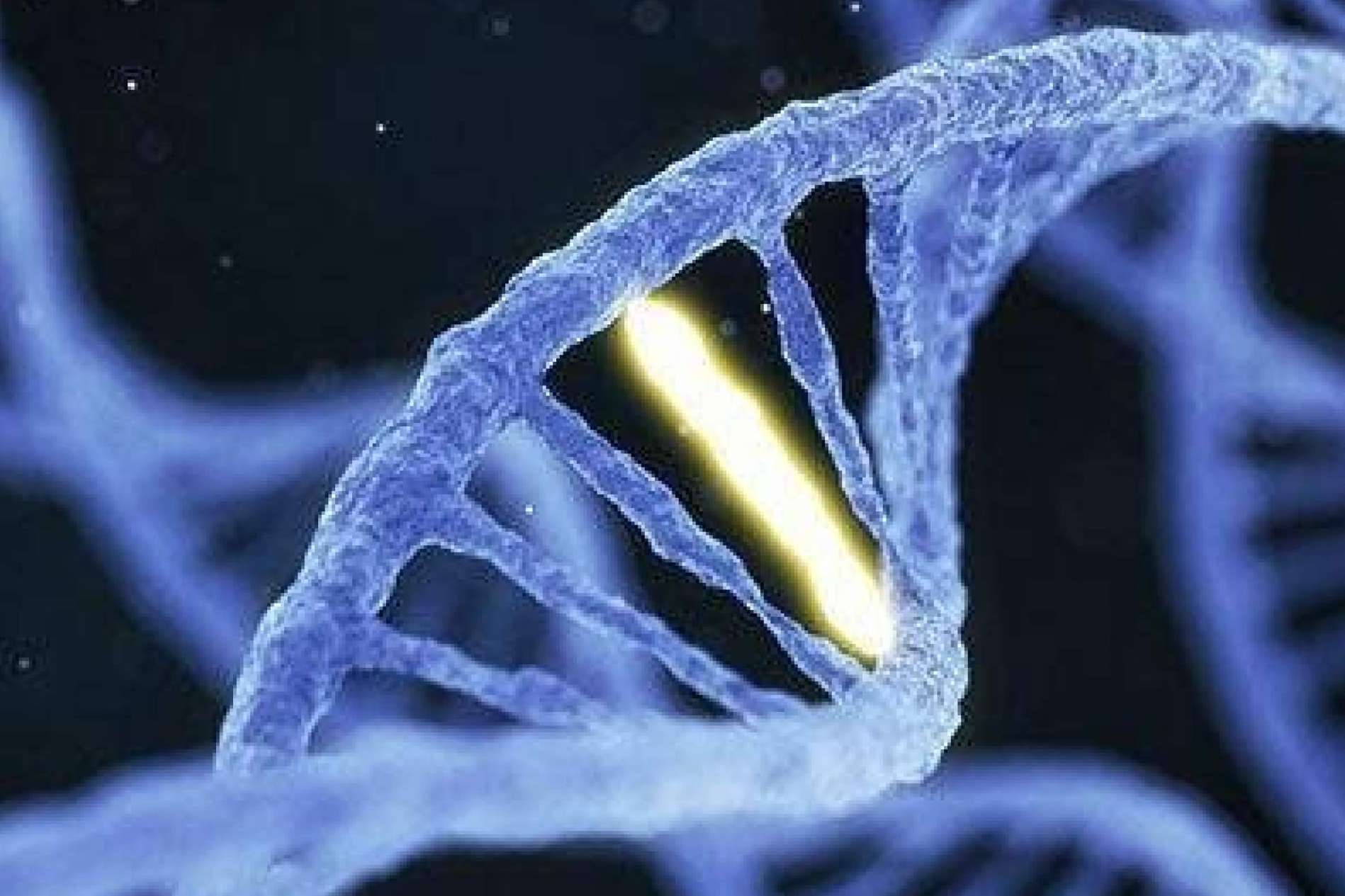 Avances en biología molecular aplicados al cáncer familiar en CITOMOL