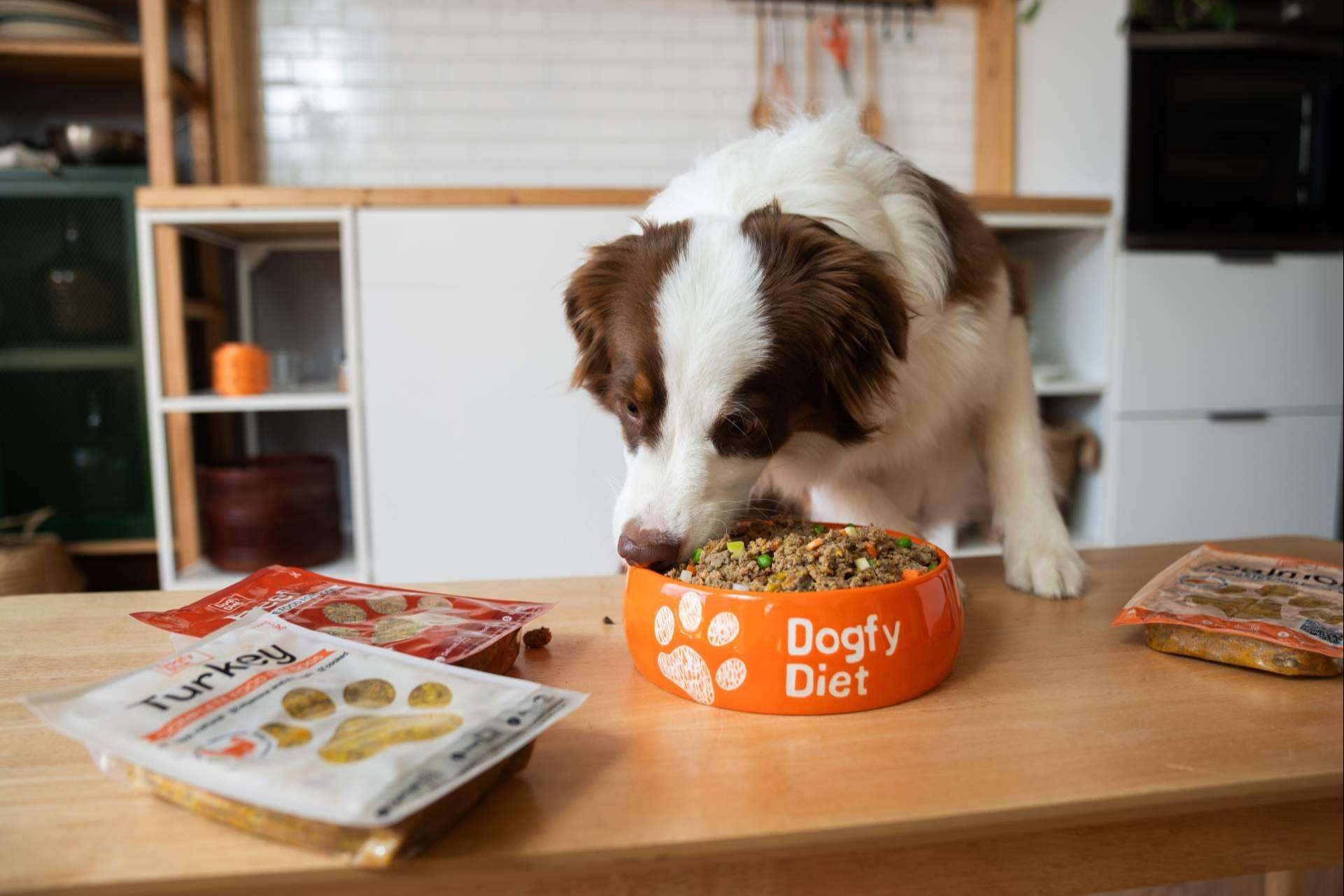 Dogfy Diet lidera la transformación hacia dietas naturales, sostenibles y personalizadas para perros