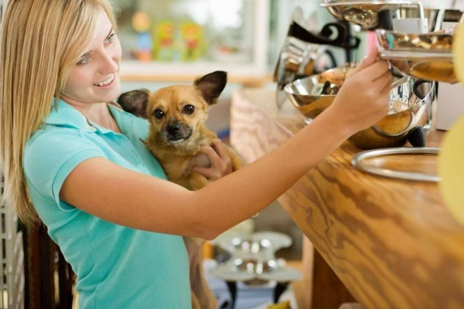 Gestor PetShop; La forma más sencilla de cumplir con VeriFactu en el negocio
