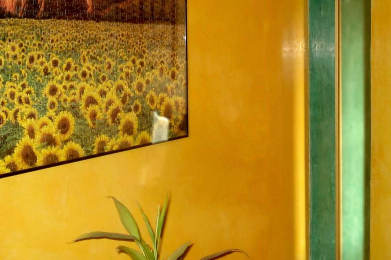 Pintores decorativos y especialistas en técnicas de alta decoración en Madrid