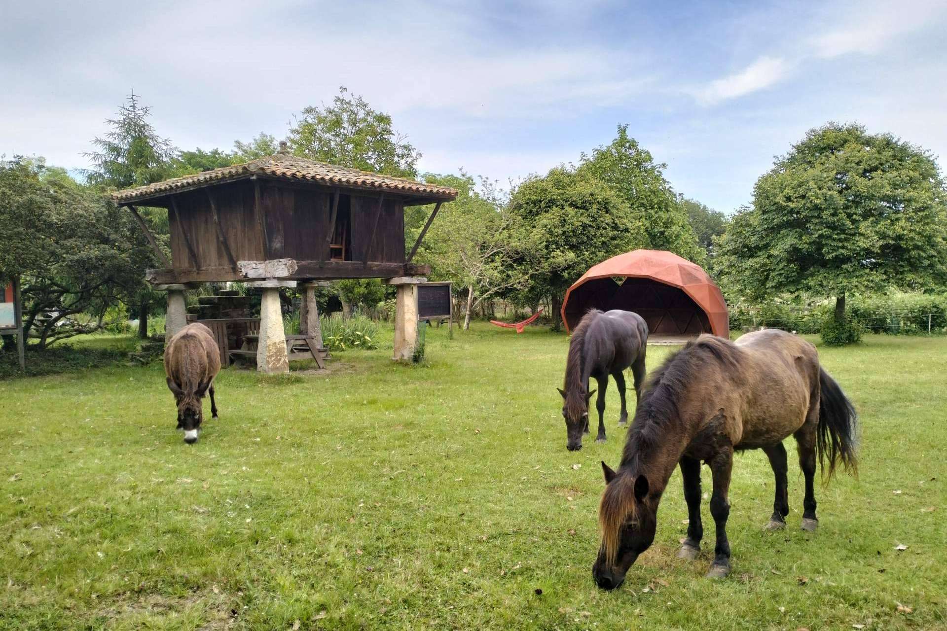 25 años de compromiso con el patrimonio rural; el Ecomuséu Ca l’Asturcón y su nueva fase