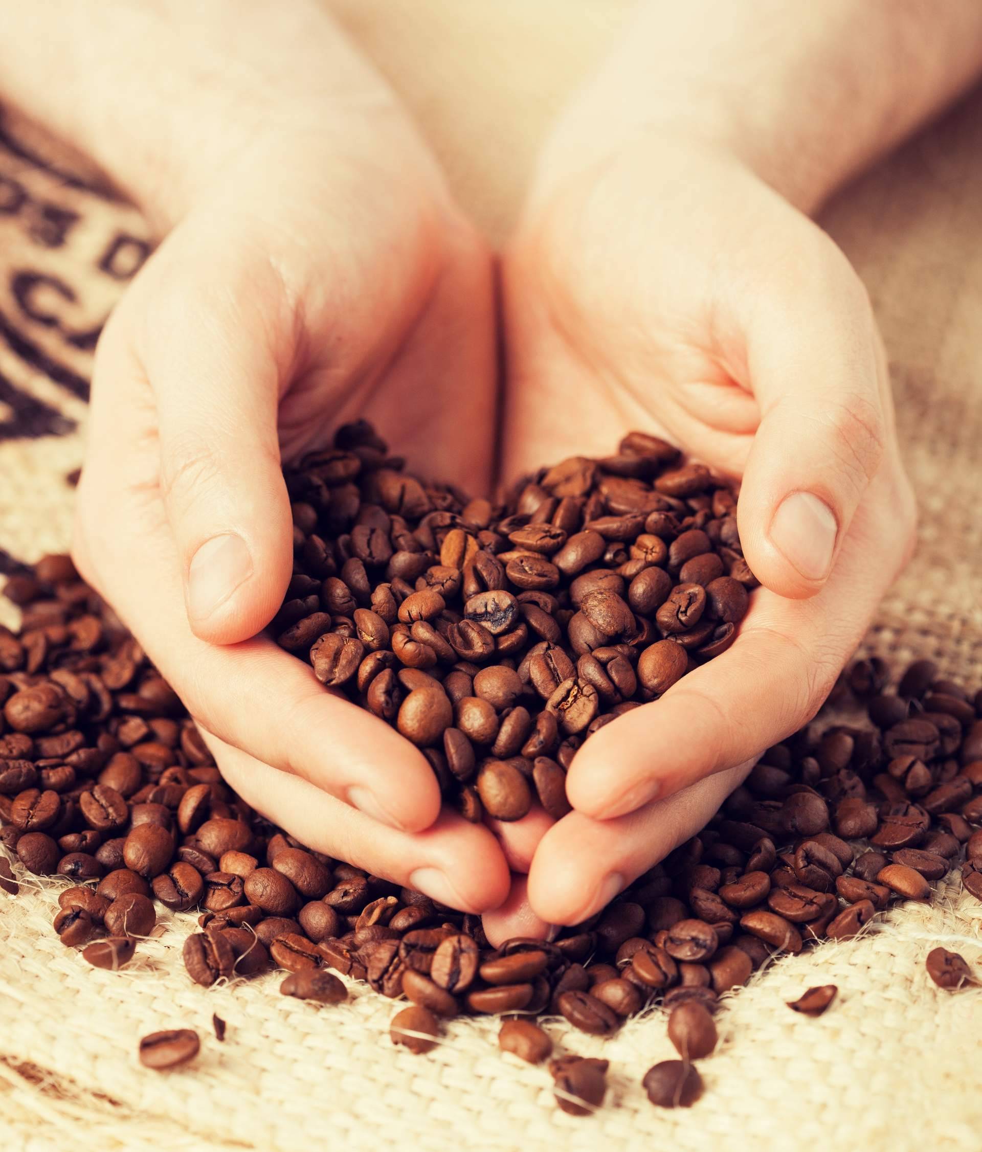 Calidad y sostenibilidad; Fresh OCS impulsa el cambio hacia el café de especialidad para oficinas