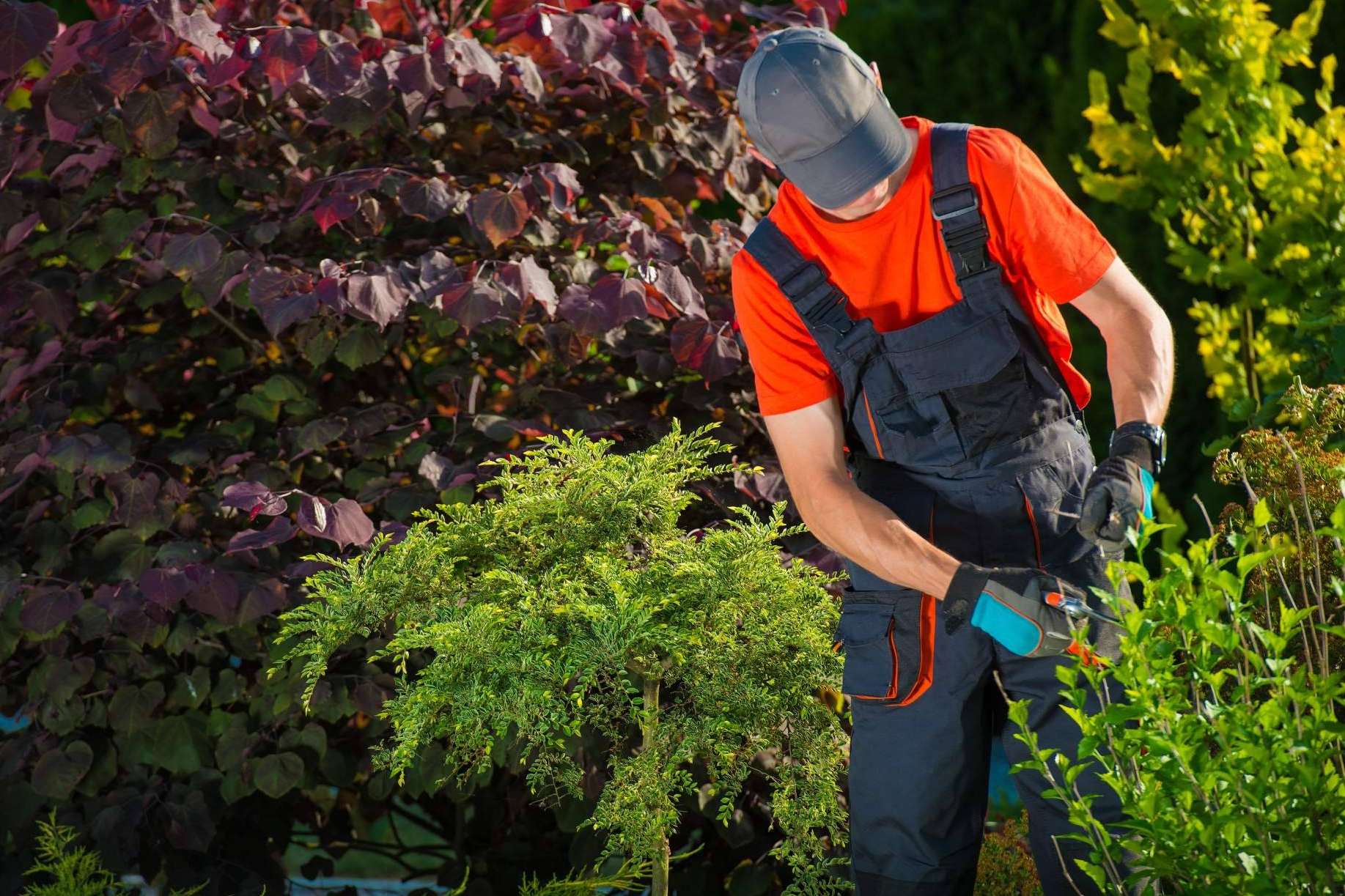 Transformando Barcelona con espacios verdes; jardinería profesional para hogares y ciudades sostenibles