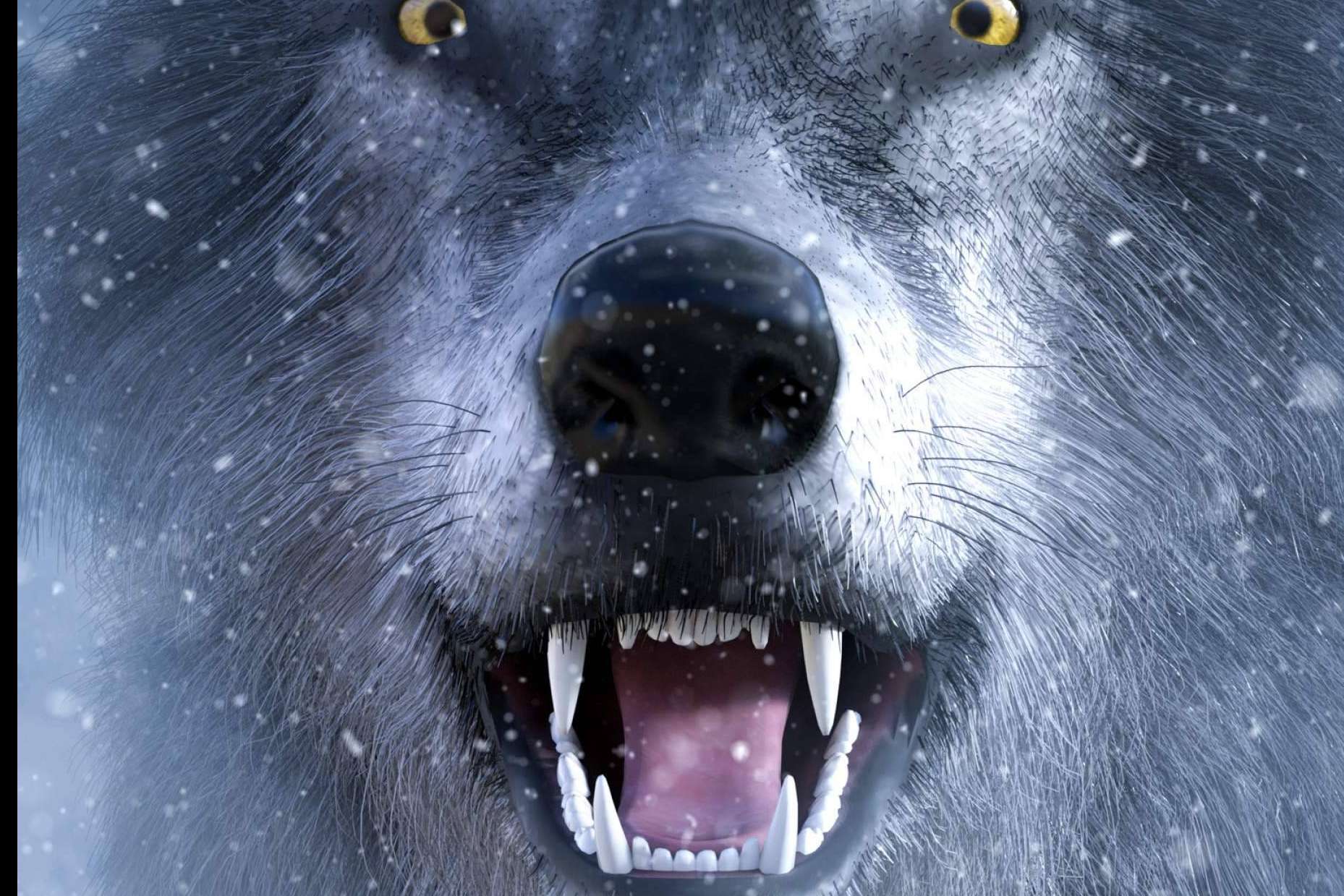 Historias con lobos como espejo del alma, la nueva propuesta literaria de Diego de Membiela