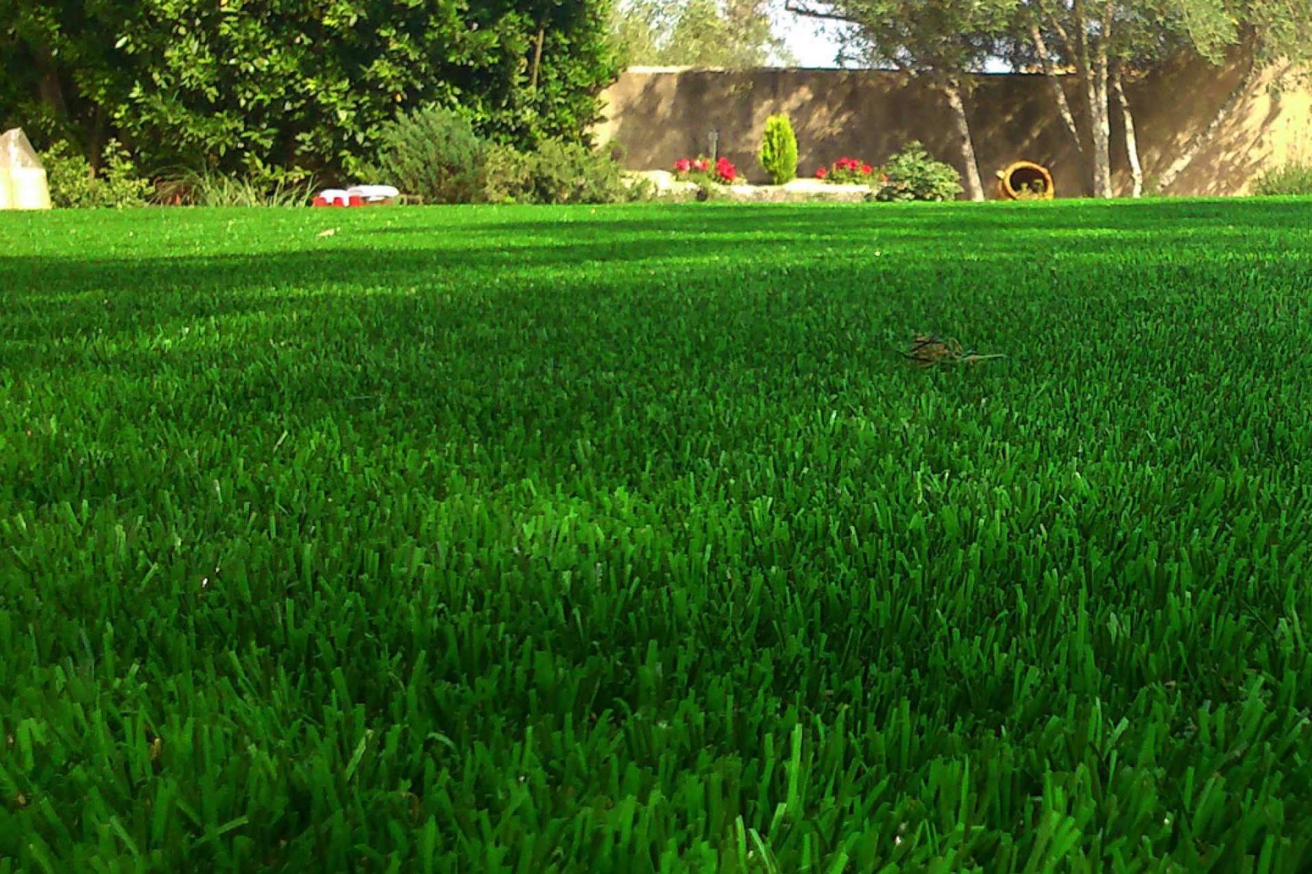 Albergrass propone un verano sin tareas de jardinería con su solución de césped artificial para piscina