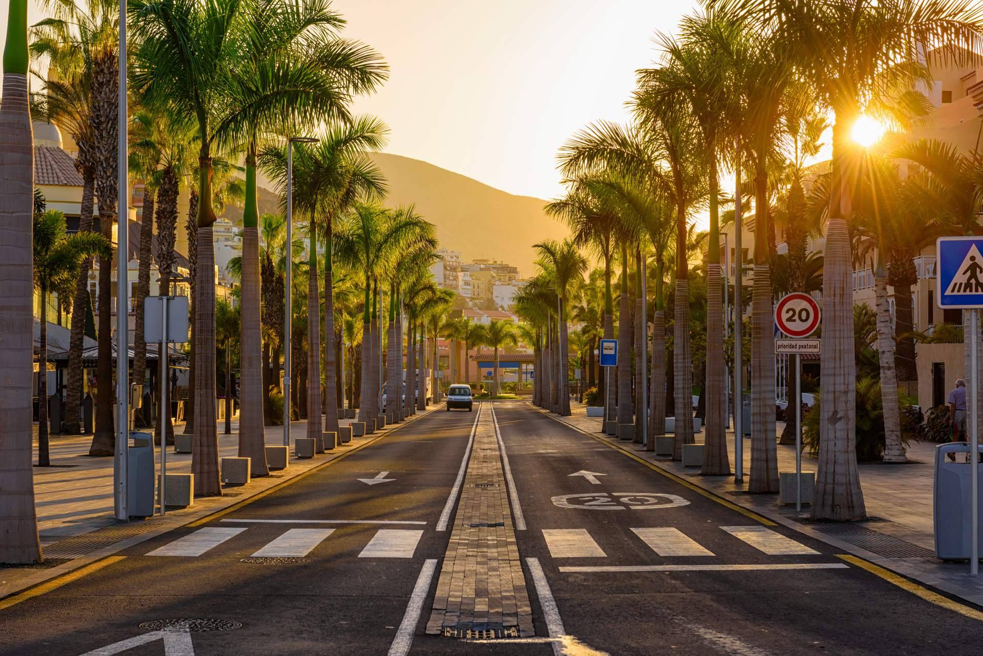 Canarias.com eleva la experiencia turística con un modelo de movilidad flexible y sin complicaciones