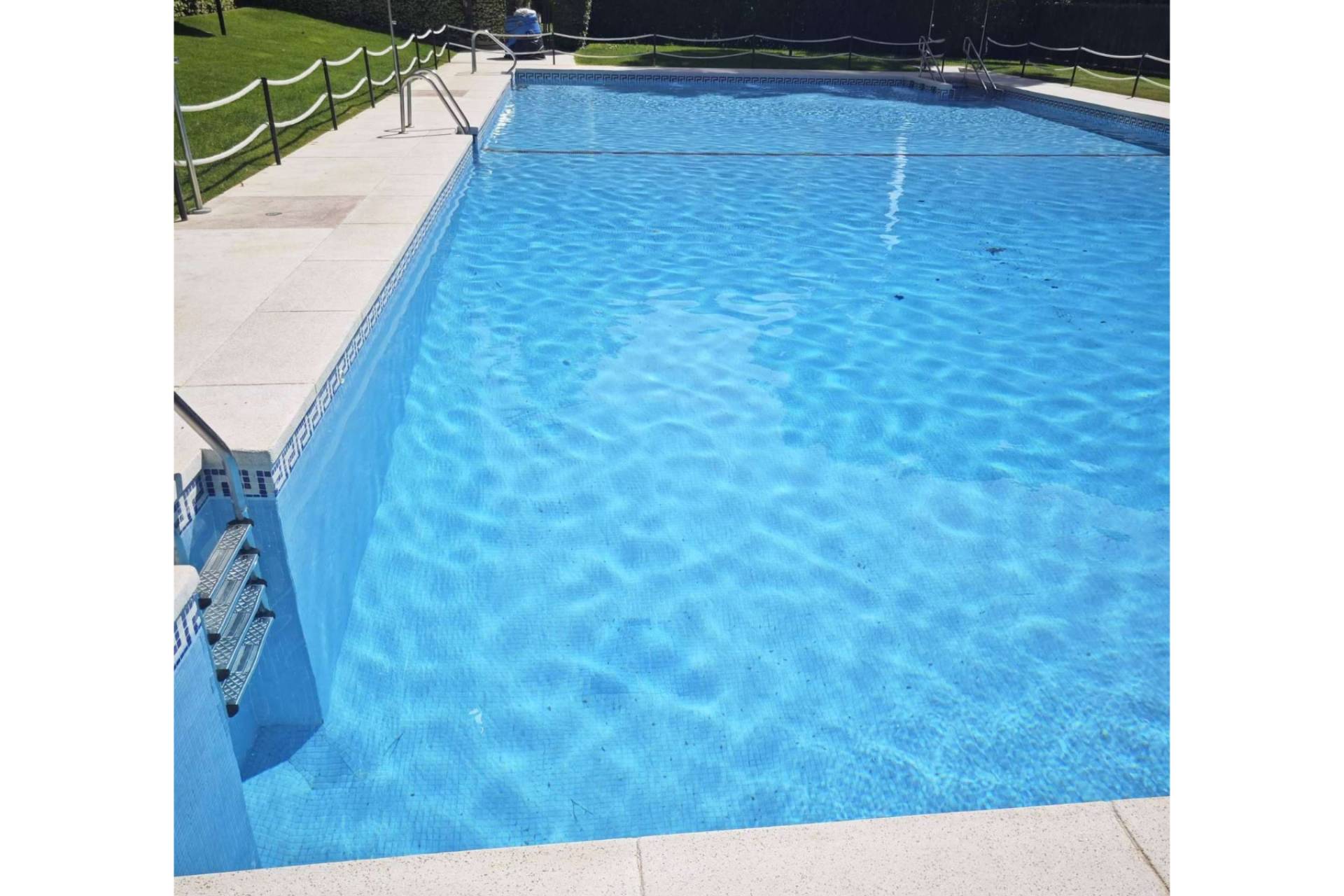 Piscinas más limpias y saludables con la purificación natural de agua de POOL TIGER EUROPE