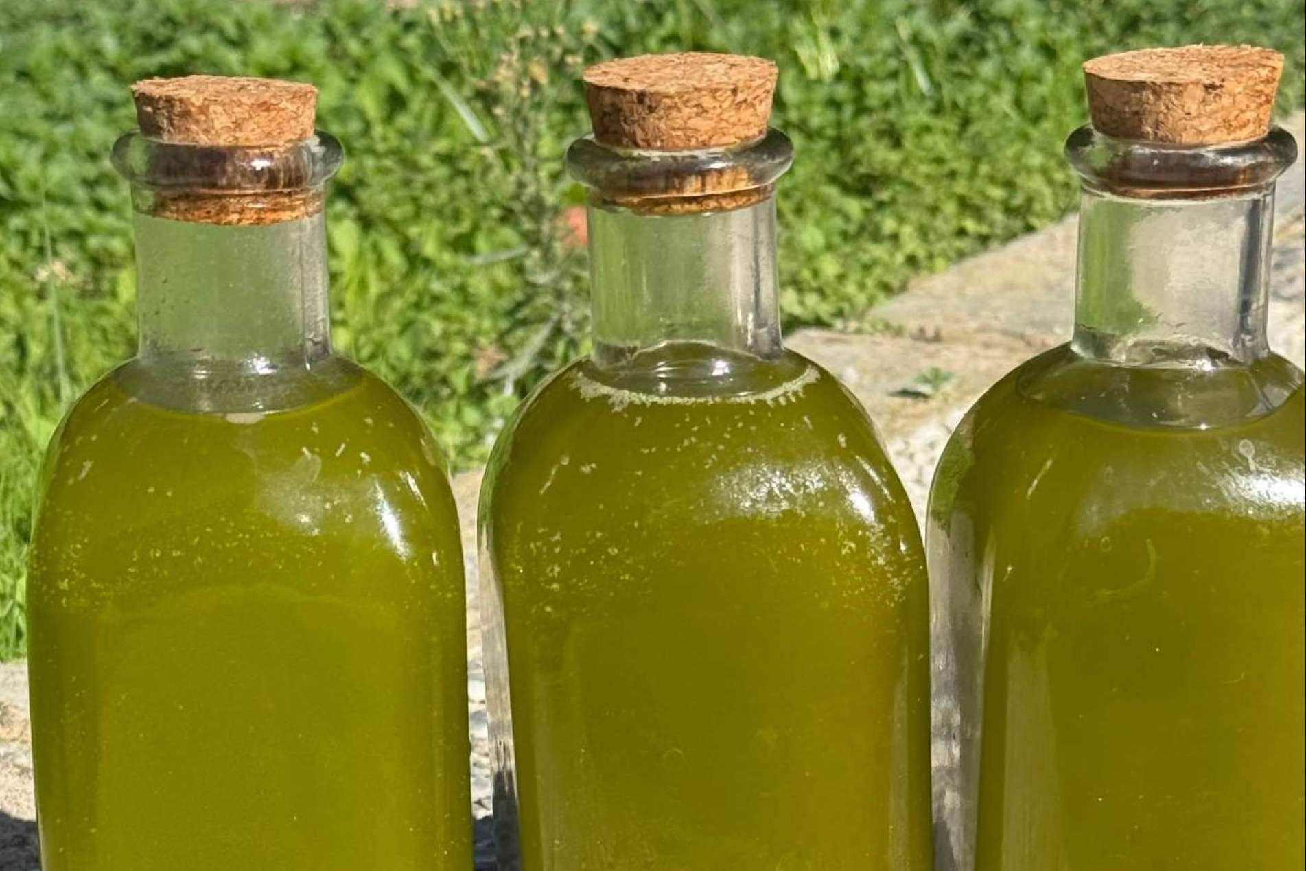 Tercio de las Torres; el sabor que nace de una historia real