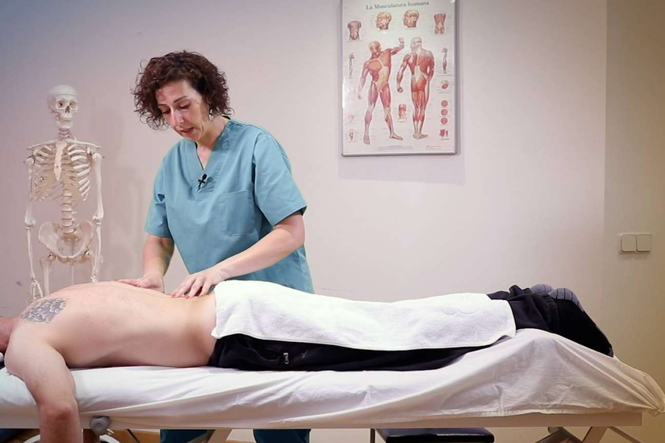 ISED abre las matriculas para cursos profesionales en veterinaria, quiromasaje y estética