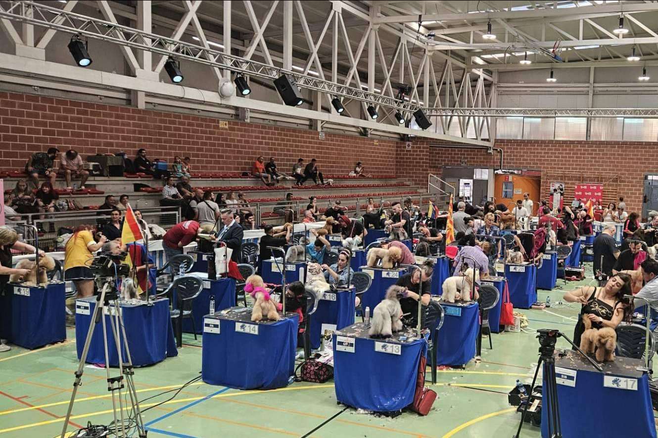 Murcia será sede del estilismo canino más top del mundo este octubre