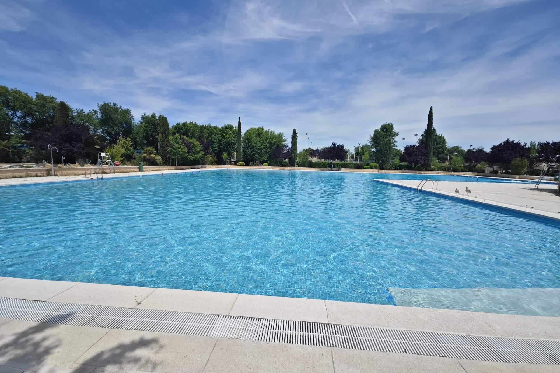 Pool Tiger Europe implementa soluciones avanzadas en piscinas públicas con eficacia probada
