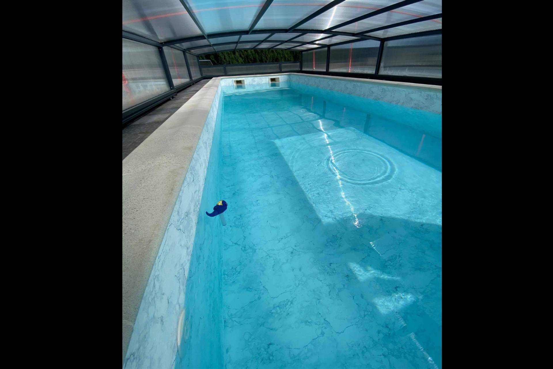 Pool Tiger Europe revoluciona el tratamiento del agua con un purificador natural para piscinas sin productos químicos