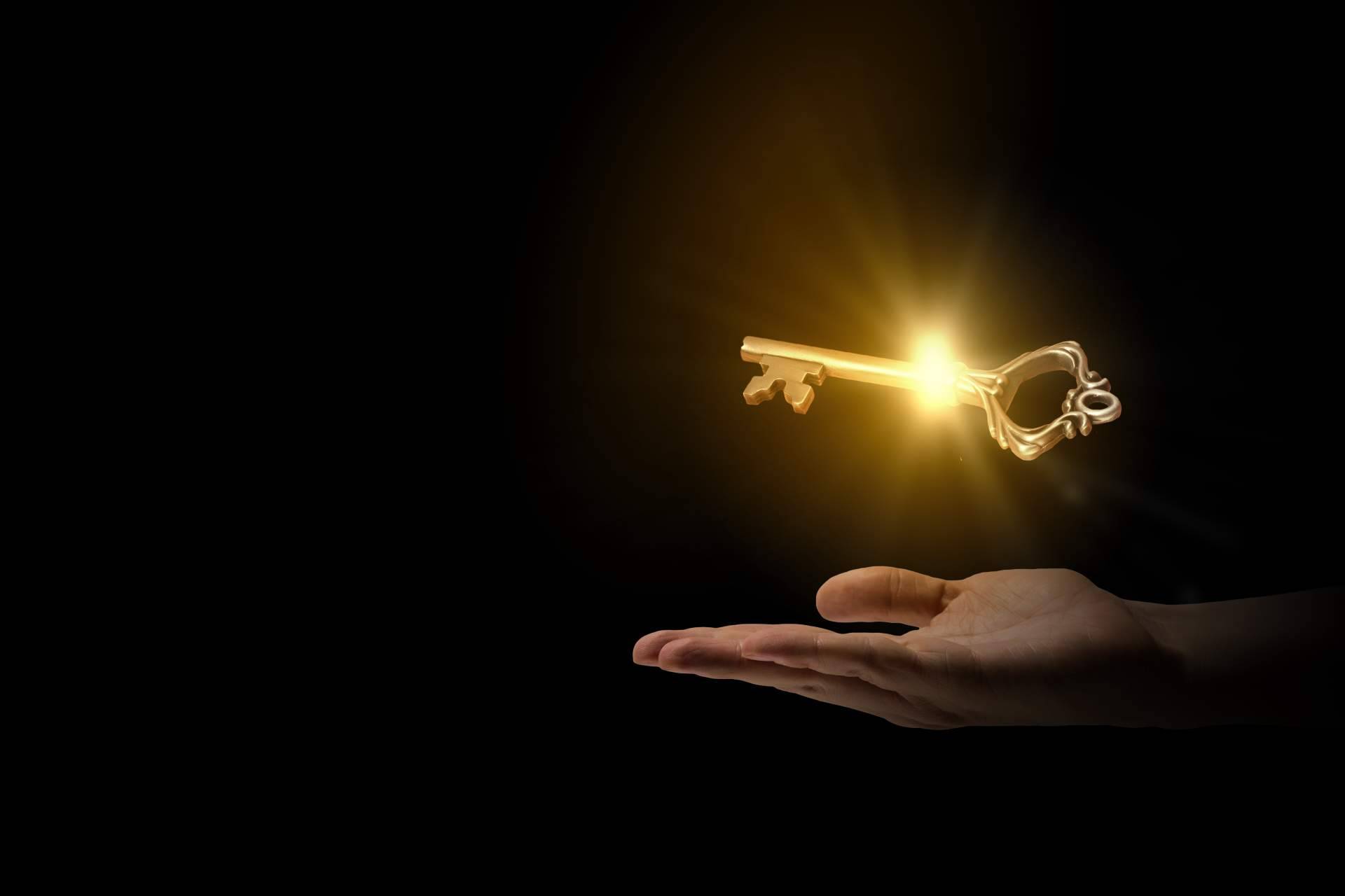 Consciencia, fragilidad y diseño sostenible; el sentido profundo detrás de cada bolsa Gold Steps