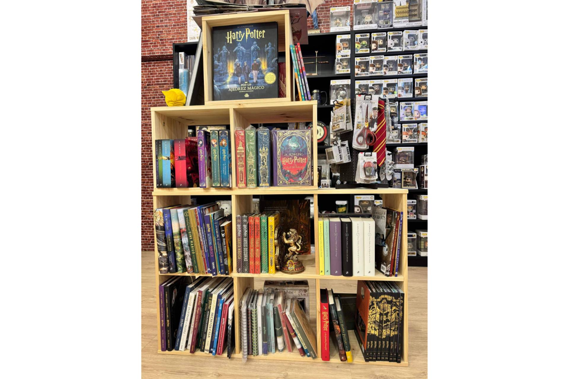 Passarella Store, el punto de encuentro para fans de Harry Potter a minutos de Valencia
