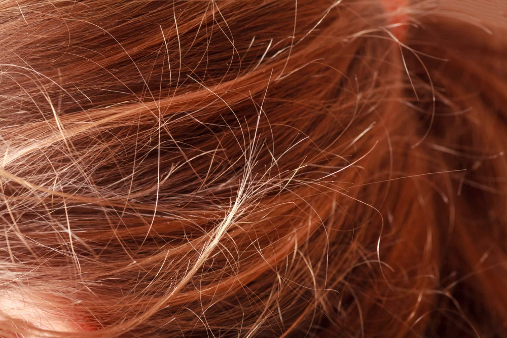 Cinco trucos fáciles para evitar el pelo encrespado cuando empieza a subir la humedad