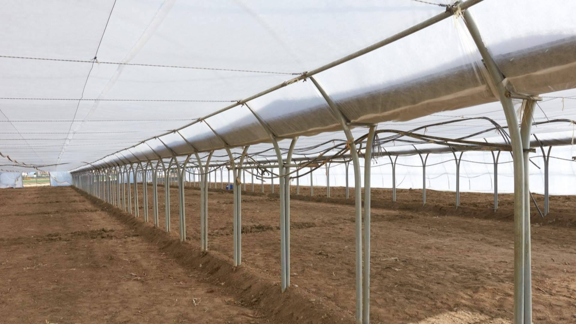 Guayas para invernadero; guía para elegir, instalar y maximizar su uso en la estructura de cultivos