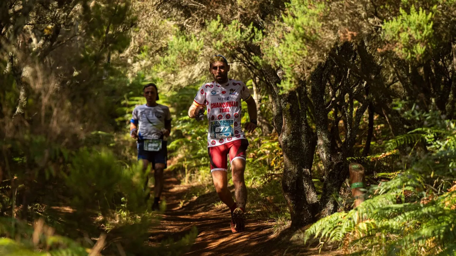 La Aguas de Teror Trail estrena recorrido; las lluvias del invierno obligan a rediseñar el trazado