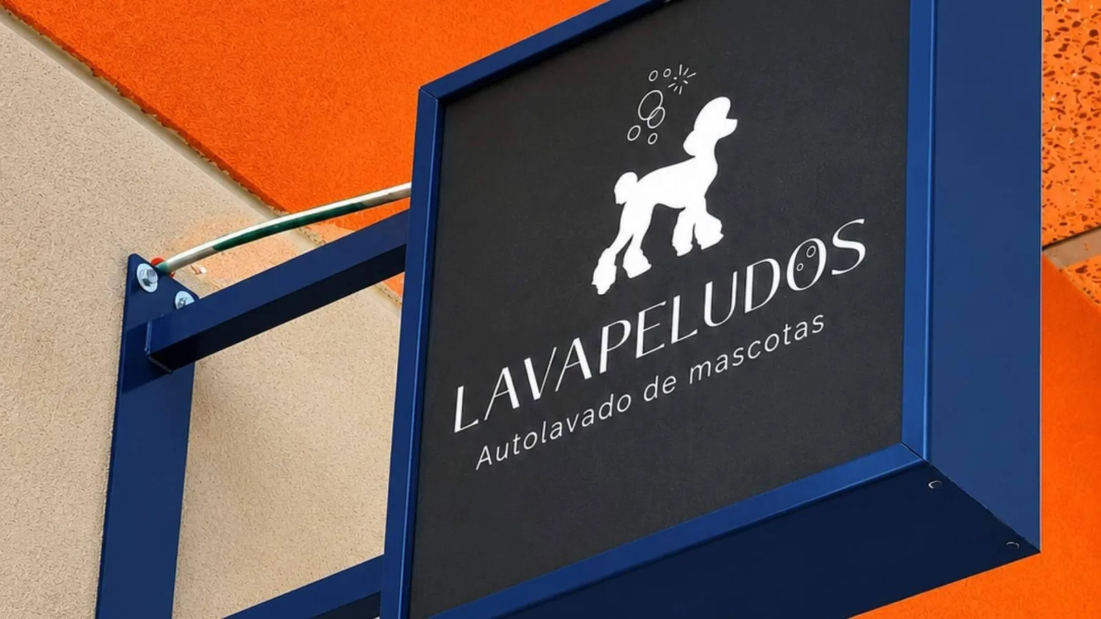 Lavapeludos revoluciona el cuidado de las mascotas con un servicio rápido, económico y sin cita previa