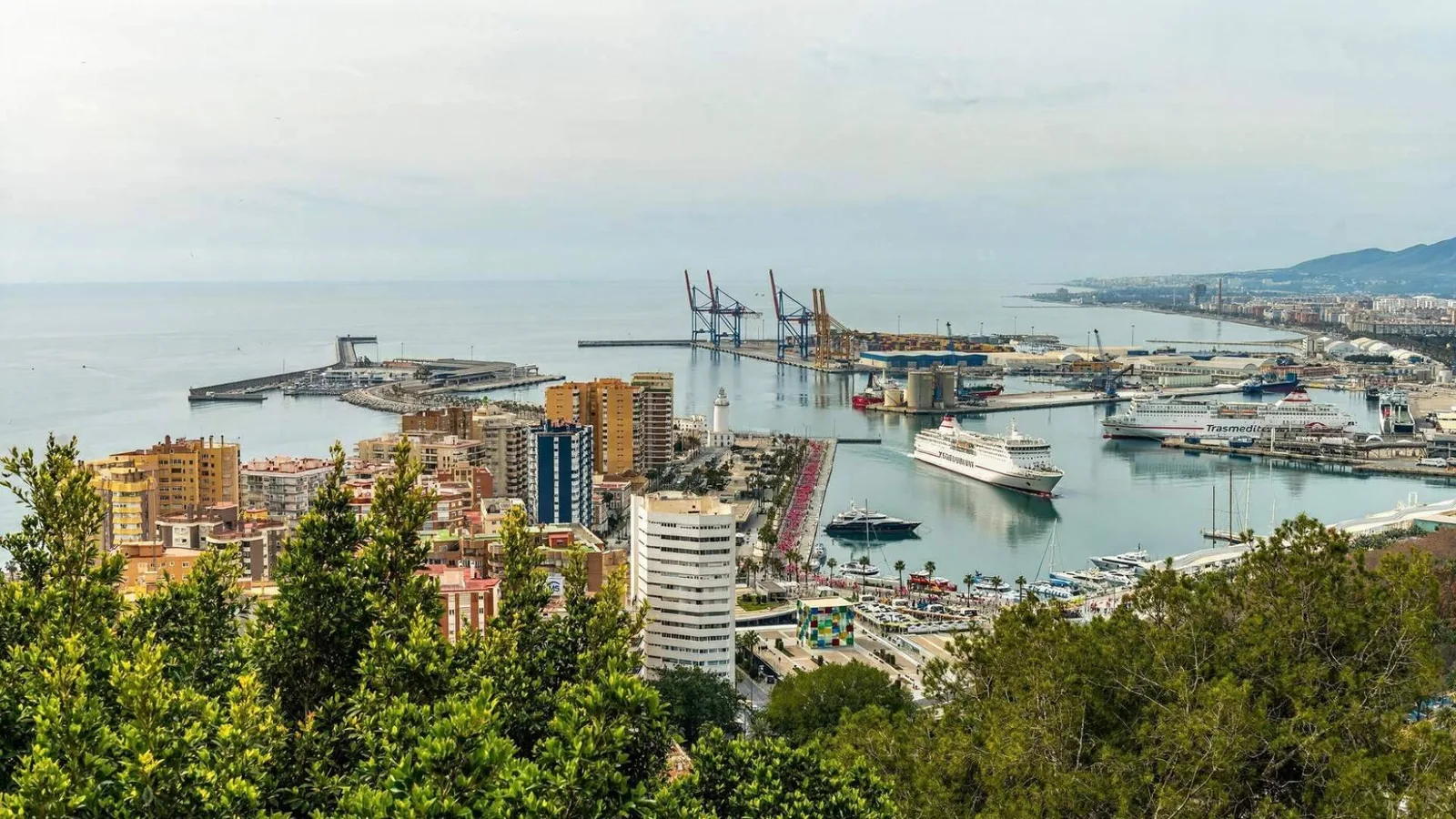 Málaga recibe más cruceros que Valencia y Palma, pero solo el 4,7% permite embarcar pasajeros